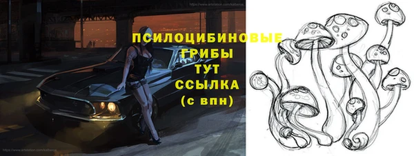 бошки Новодвинск