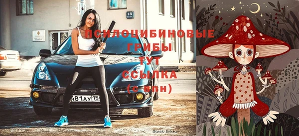 бошки Новодвинск
