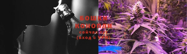 бошки Новодвинск