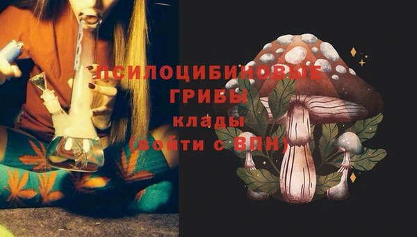 МДМА Бикин