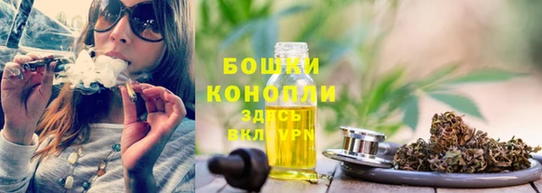 бошки Новодвинск