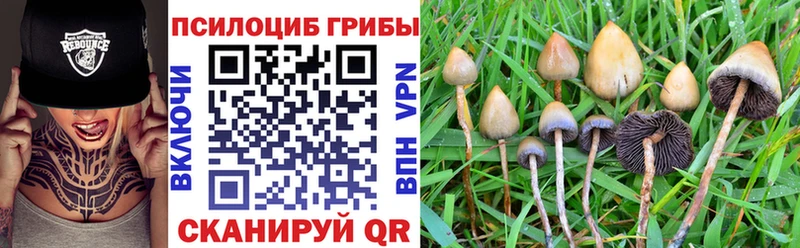 Псилоцибиновые грибы мухоморы  ссылка на мегу ссылки  Нижние Серги 